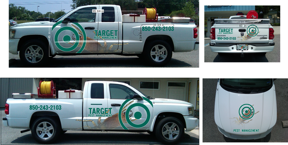 Truck Graphics 2011