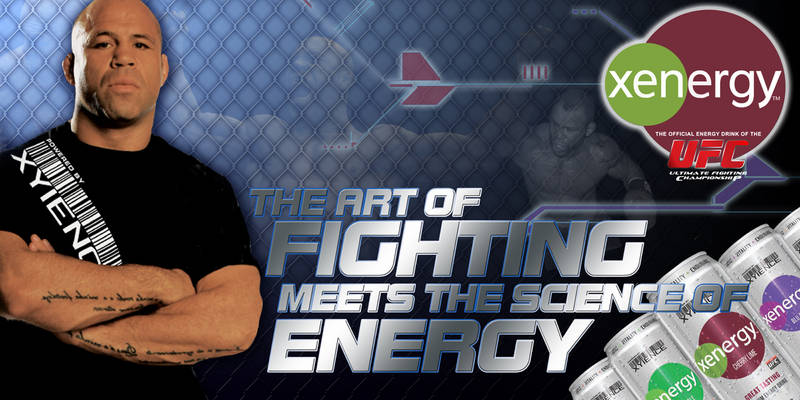 Wanderlei Silva - Art of Fighting Banner