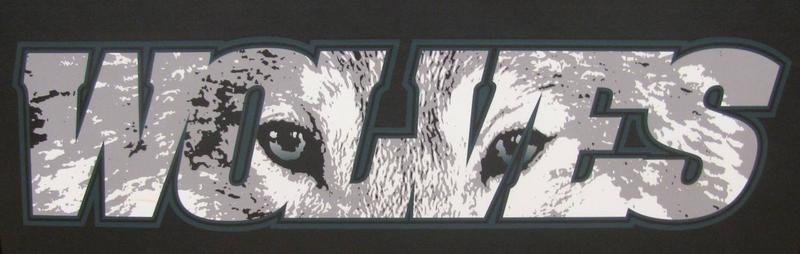 wolf eyes masked
