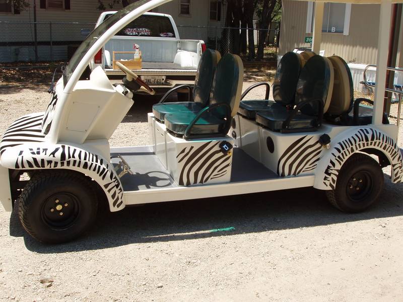 Zebra side